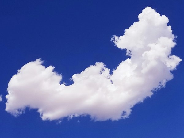 Centre de formation sport : lancez votre carrière dans le sport